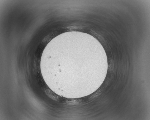 X0000082150430200702162213