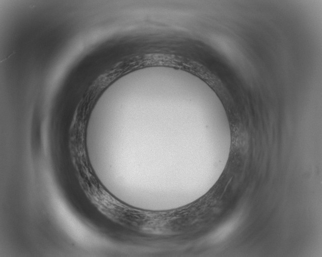 X0000082150431200702162213