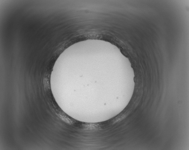 X0000082150432200702162213