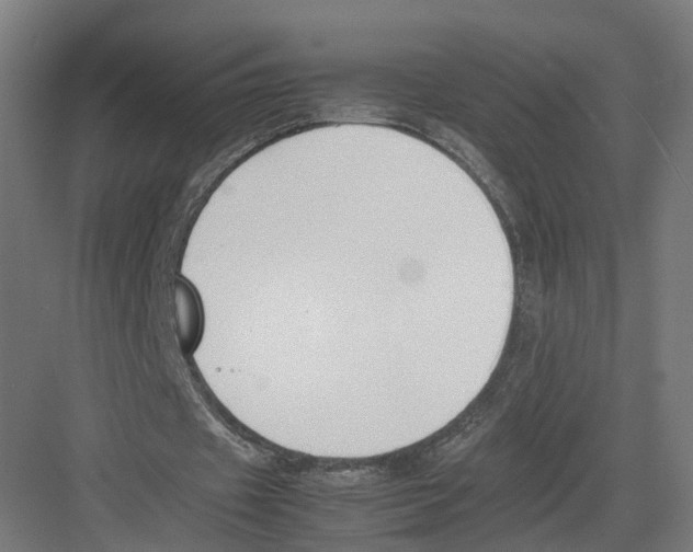 X0000082150433200702162212