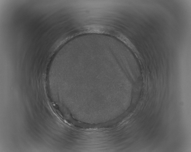 X0000082150434200702162212