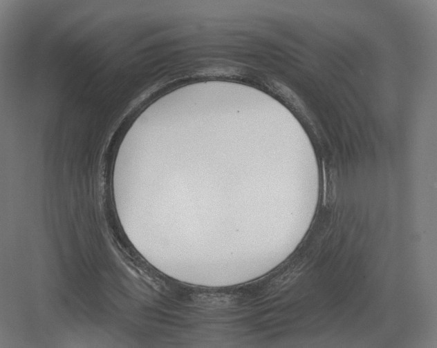 X0000082150435200702162212