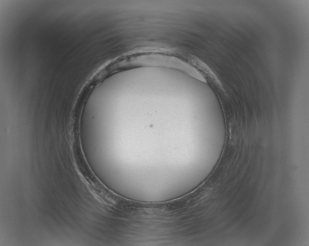 X0000082150436200702162212