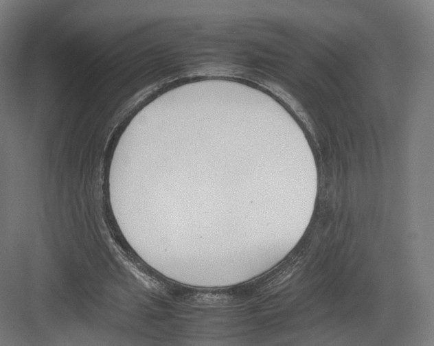 X0000082150437200702162212