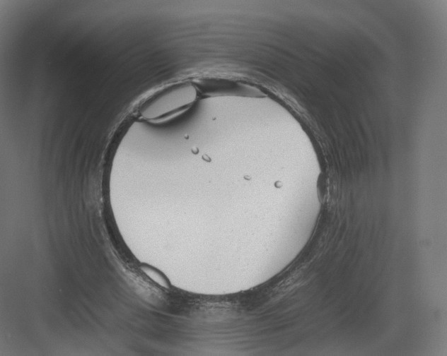 X0000082150438200702162213