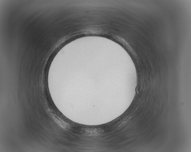 X0000082150439200702162213