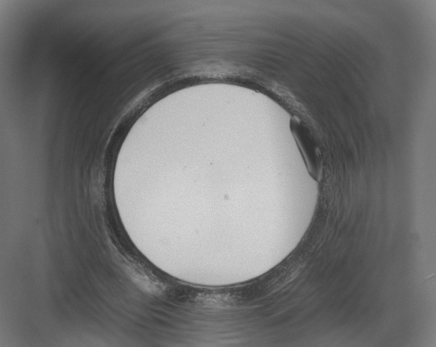 X0000082150440200702162213