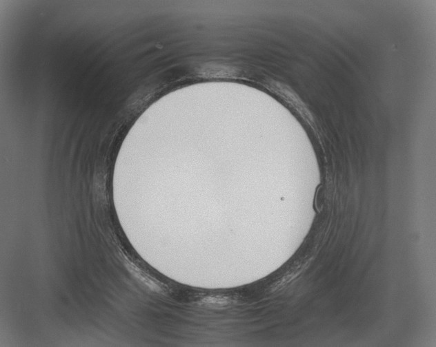 X0000082150441200702162213