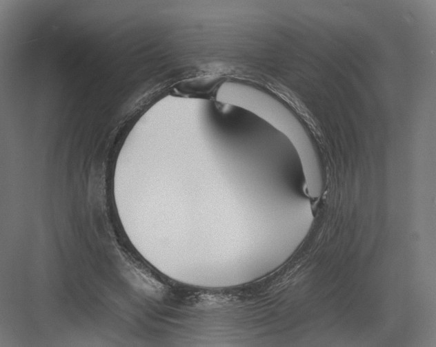 X0000082150442200702162213