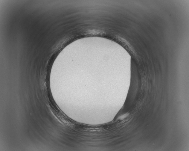 X0000082150443200702162213