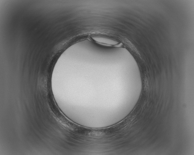 X0000082150444200702162213