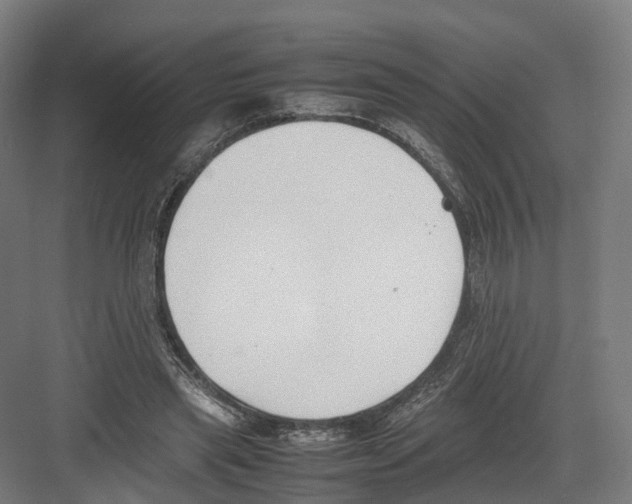 X0000082150445200702162213