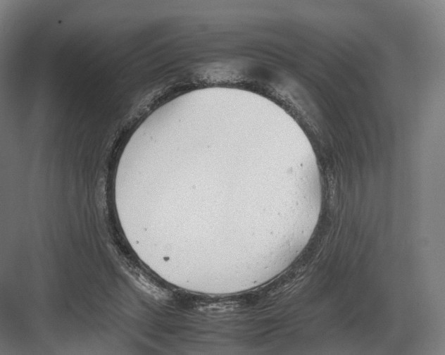 X0000082150447200702162213