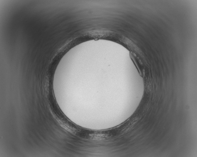 X0000082150448200702162213