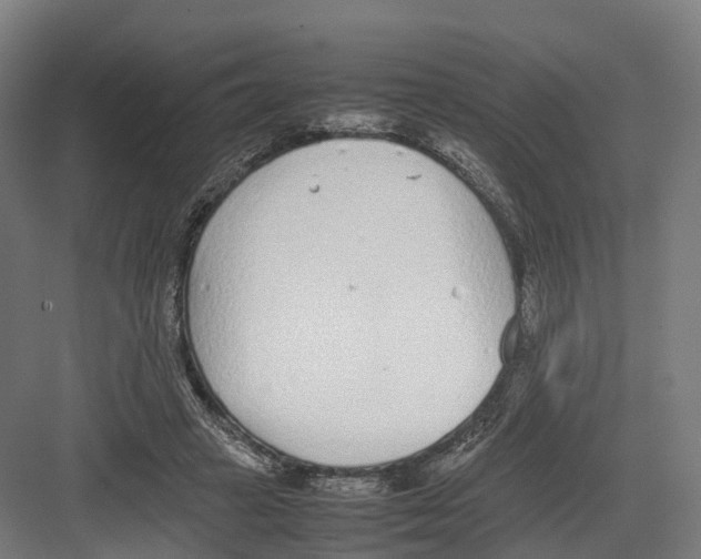 X0000082150449200702162213