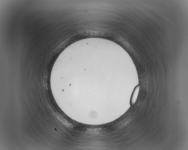 X0000082150450200702162213