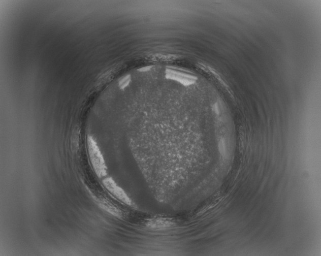 X0000082150451200702162213