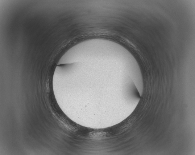 X0000082150452200702162213