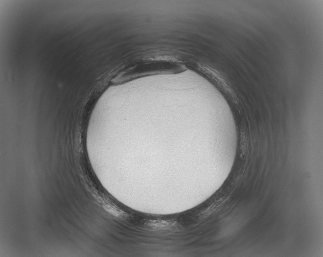 X0000082150453200702162213