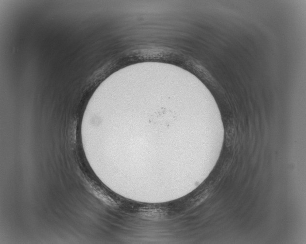 X0000082150454200702162213