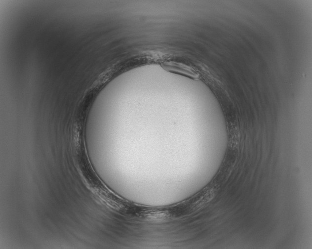 X0000082150456200702162213