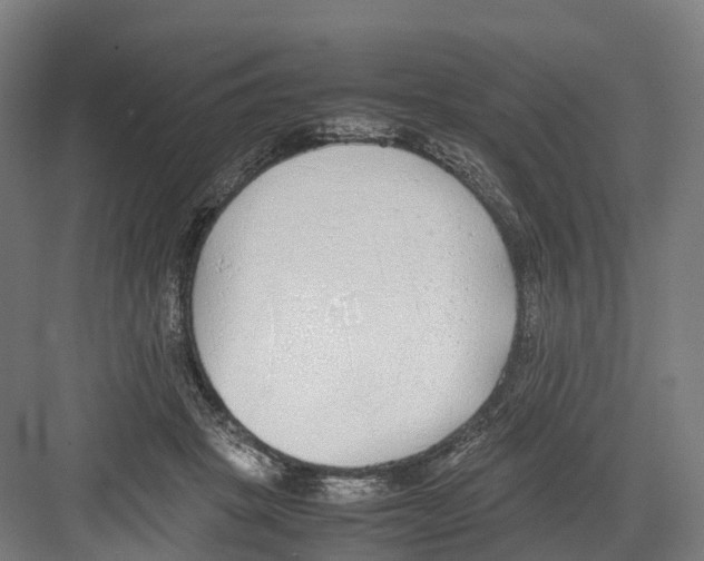 X0000082150457200702162213