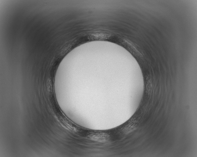 X0000082150459200702162213