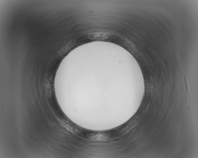 X0000082150460200702162213