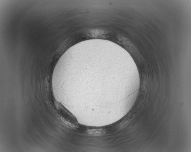 X0000082150461200702162213