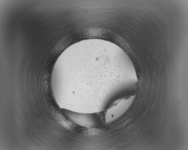 X0000082150462200702162213