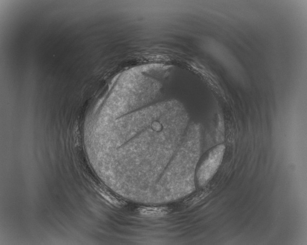 X0000082150465200702162213