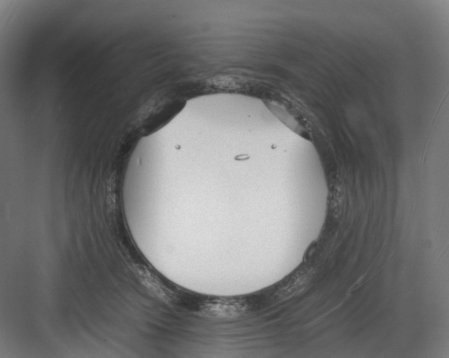 X0000082150466200702162213