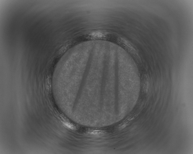 X0000082150467200702162213