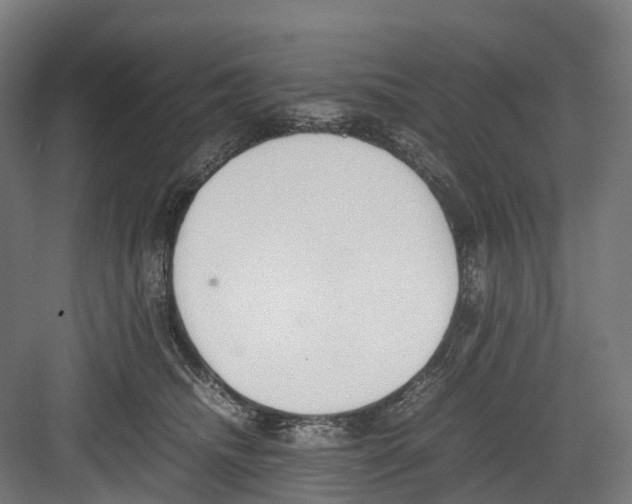 X0000082150468200702162213