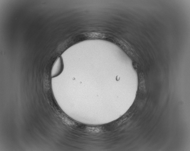 X0000082150469200702162213