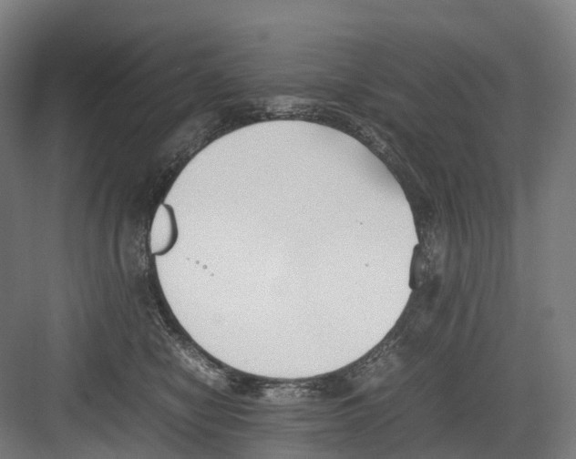 X0000082150470200702162213