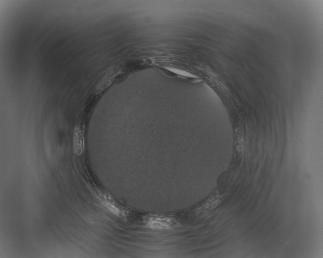 X0000082150471200702162213