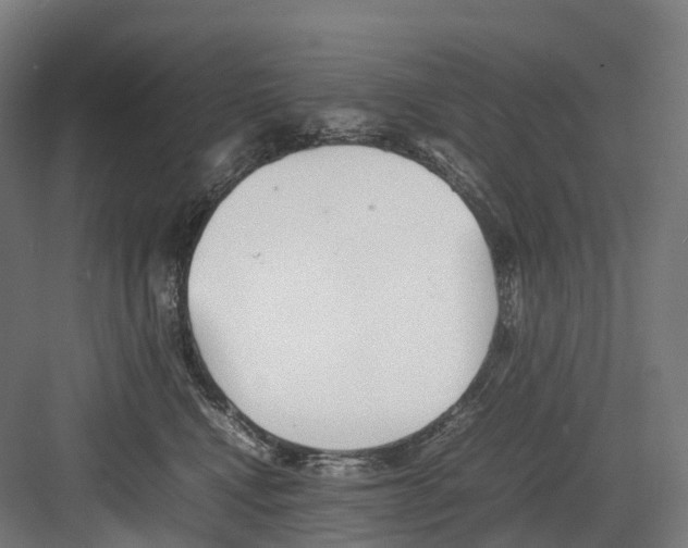 X0000082150472200702162213