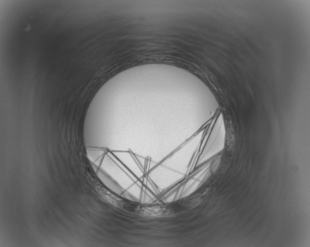 X0000082150473200702162213