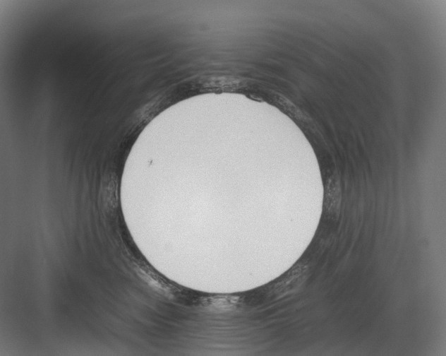 X0000082150474200702162213