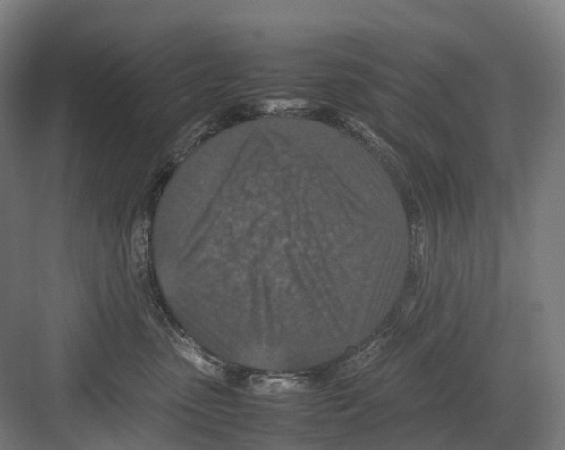 X0000082150475200702162213