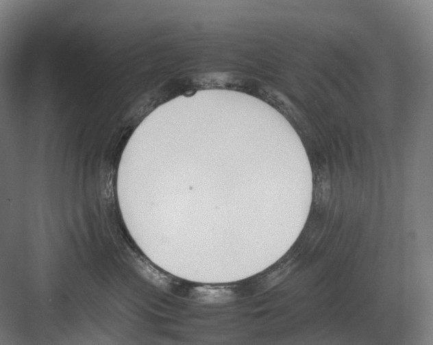 X0000082150477200702162213