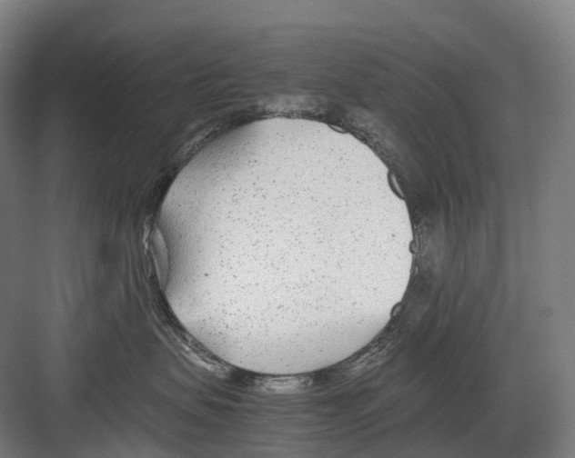 X0000082150479200702162213