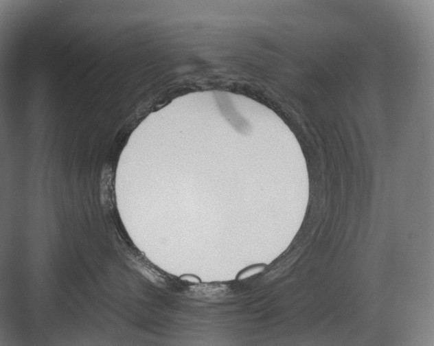 X0000082150480200702162213