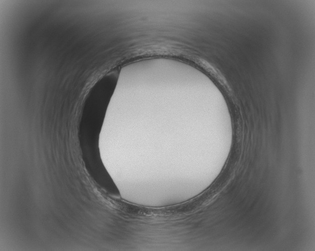 X0000082150481200702162212