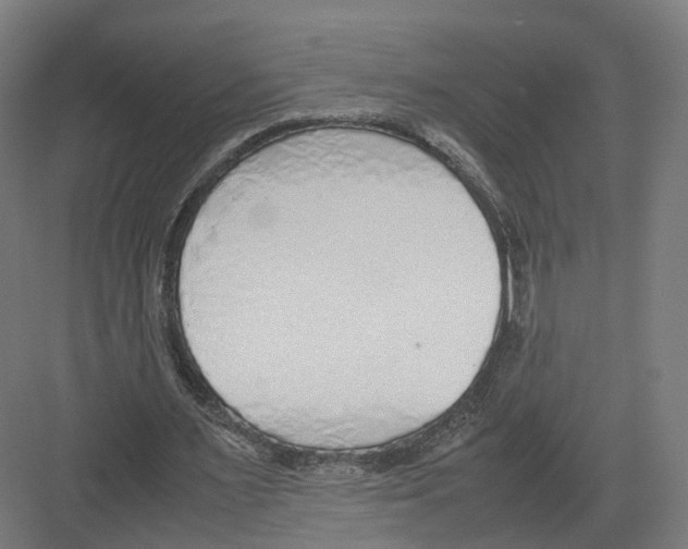 X0000082150483200702162212