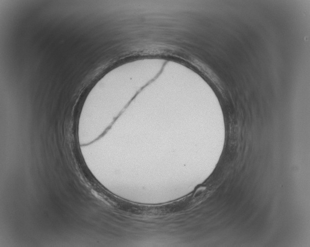 X0000082150485200702162212