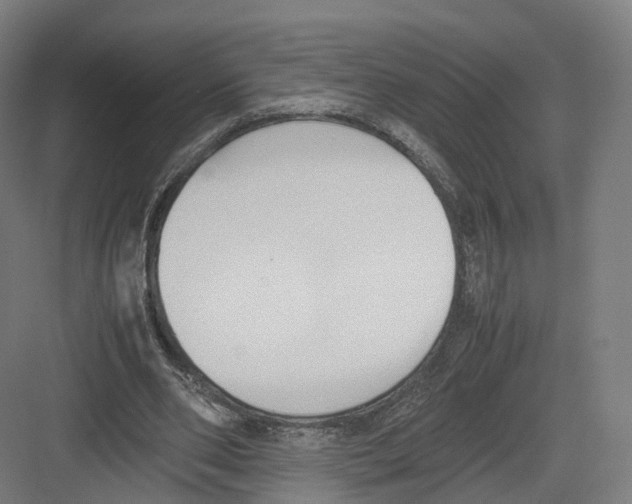 X0000082150486200702162212