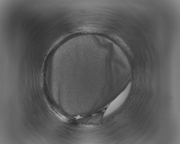 X0000082150488200702162212