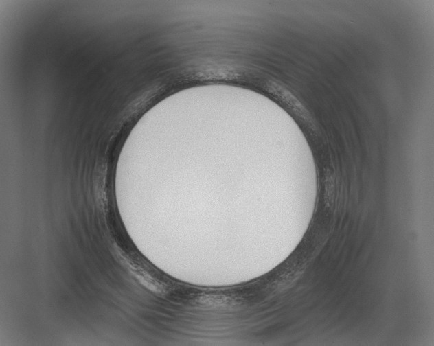 X0000082150490200702162212